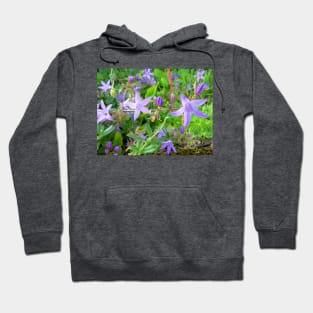 Lavender stars Hoodie